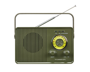 2.4G Wireless TV Speaker With FM Function TV-5000